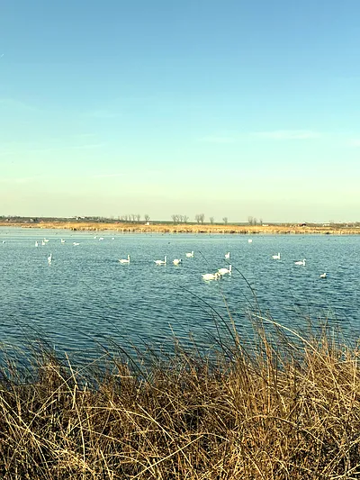 Comana: Aventură și Istorie în Delta Neajlovului