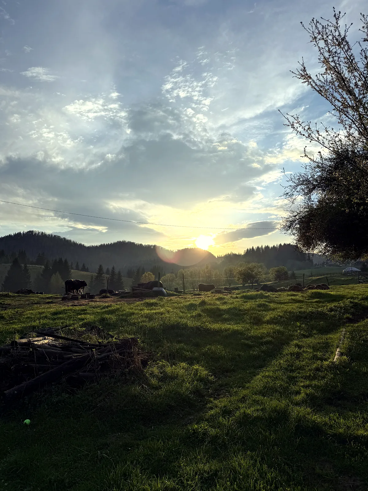 Weekend at High Altitude in Fundățica: Peace, Adventure and Dreamy Views