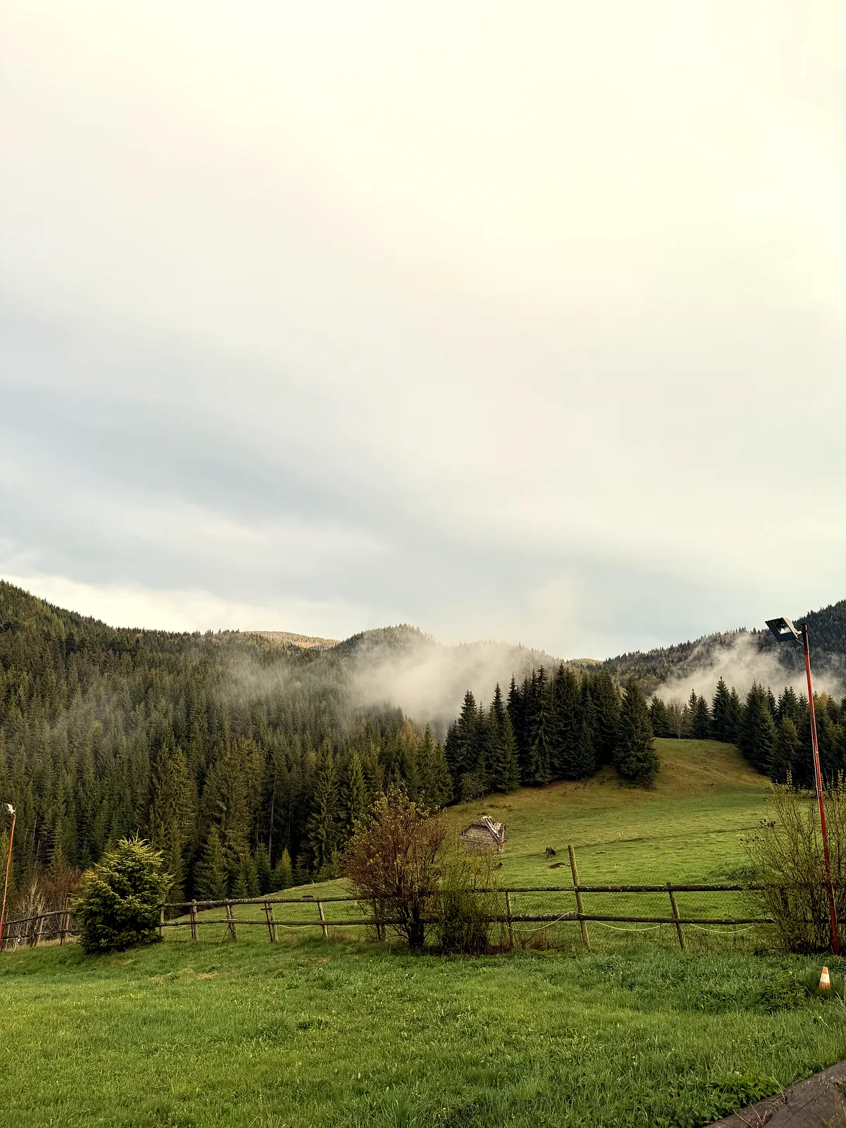 Weekend at High Altitude in Fundățica: Peace, Adventure and Dreamy Views