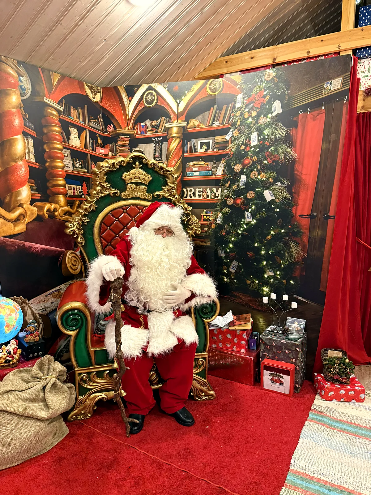 Magia din Laponia: O Călătorie de Vis Acasă la Moș Crăciun