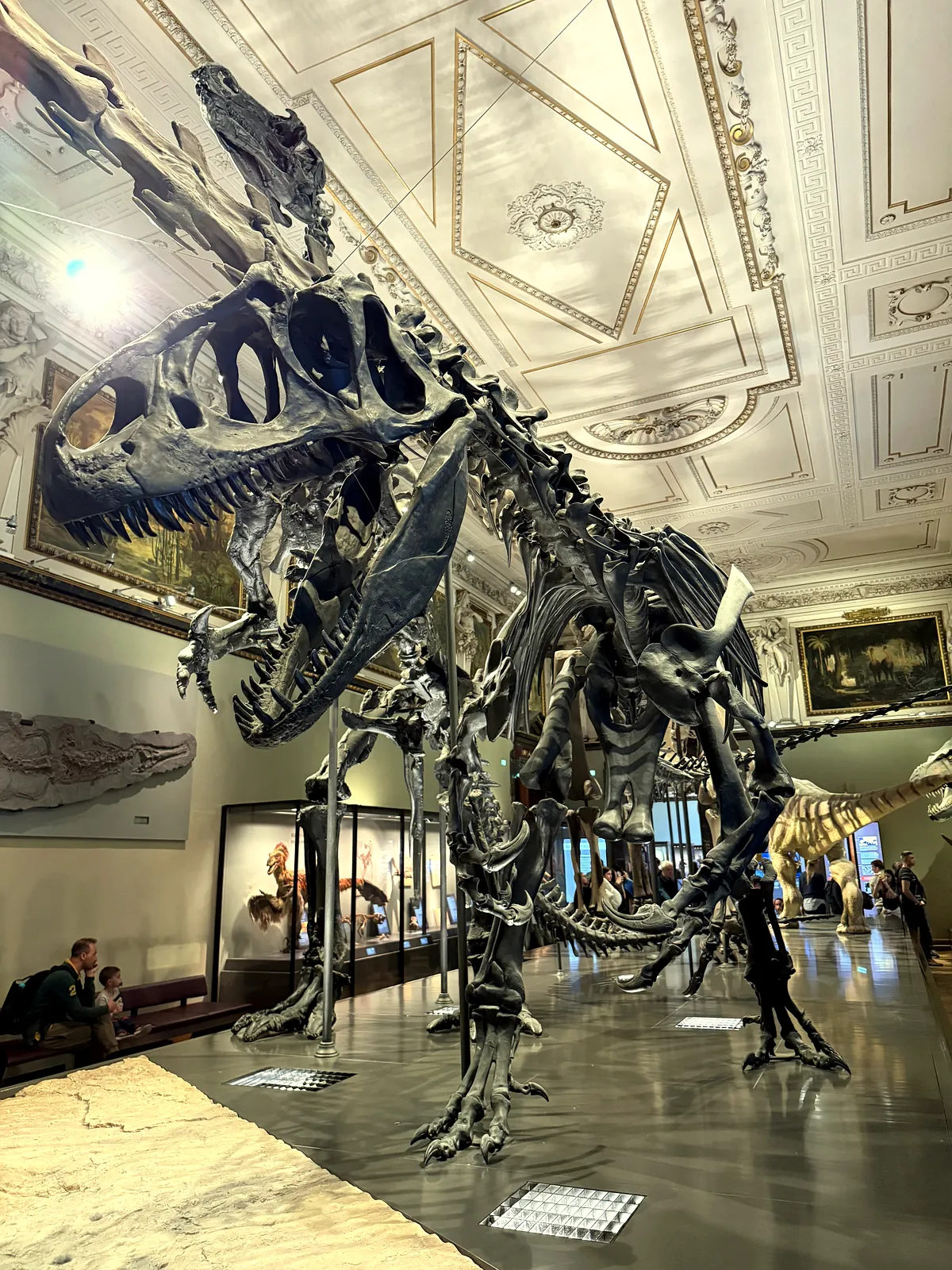 Minunile Vienei: De la adâncurile mării la epoca dinozaurilor