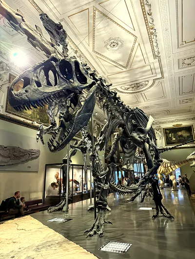 Minunile Vienei: De la adâncurile mării la epoca dinozaurilor