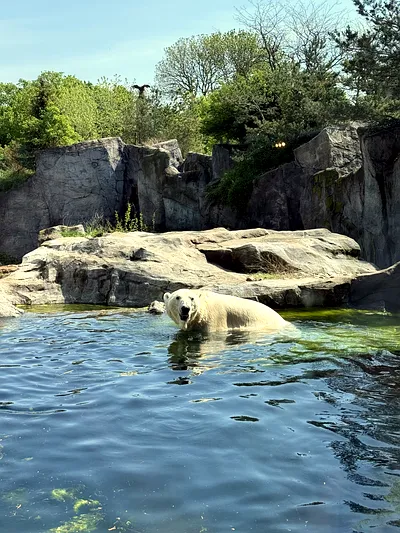 Grădina Zoologică și Palatul Schönbrunn: De la cea mai veche grădină zoologică la Grădinile Imperiale